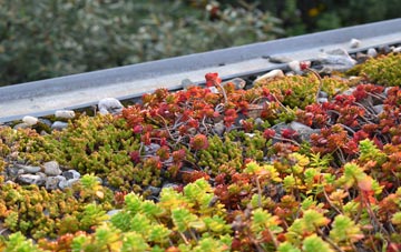 the cost of Lower Bois green roof installation