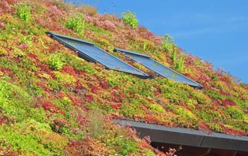 Lower Bois living roof systems